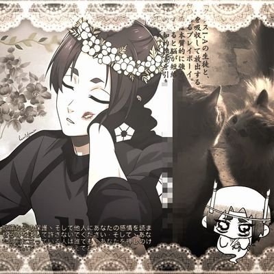 ReiOnFerin's profile picture. 