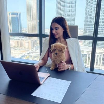 Nikichian77's profile picture. CEO