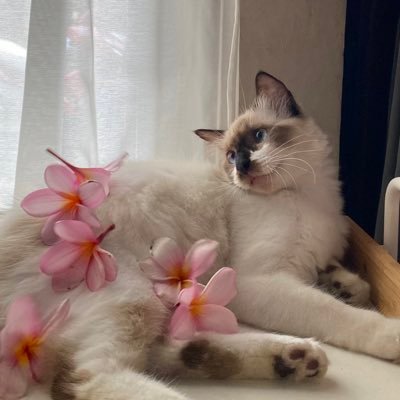 mdywln's profile picture. Pernyataan yang bukan dari Tuhan, selalu butuh tambahan sudut pandang