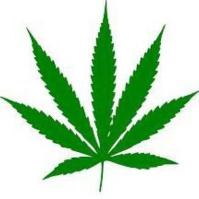 vienna_wee's profile picture. welcome we have the best quality #drugs #weed #cannabis #coke and more ❄️🍄🍁💊available to place your order click on the link below                  ⬇️