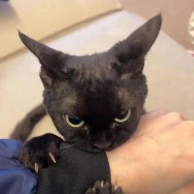 Mata83840's profile picture. 