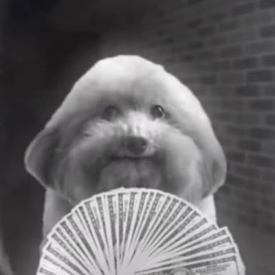 FDT_03's profile picture. take this as my apology