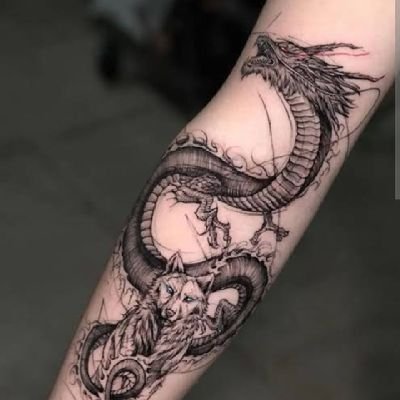 draco_the__king's profile picture. 