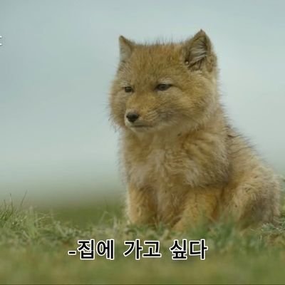 sswwing_'s profile picture. 