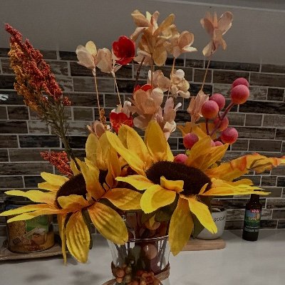 Because74629510's profile picture. ❤️AMERICA…LOVE IT or LEAVE IT!  🇺🇸 
       
 LOVE ❤️ LAUGH😂 BEACH🏖️WINE🍷 SUNSHINE🌻 
                  
       •BE KIND •BE HAPPY •BE AWARE
TAKEN❤️