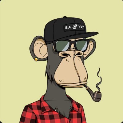 Timmygart's profile picture. Life's simple: You make choices and you don't look back
NFT Metaverse| NFT Collector