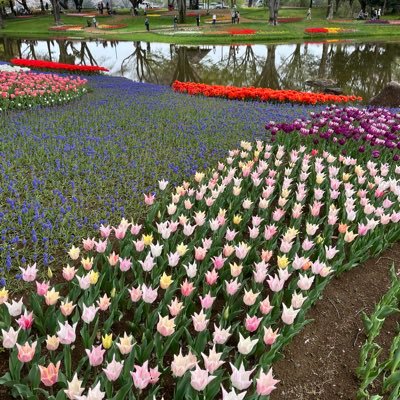 rumiyama0829's profile picture. 健康と美容に関する事が大好き❤ 今は断捨離が趣味🌿  最新ハマっている事、拭活💦