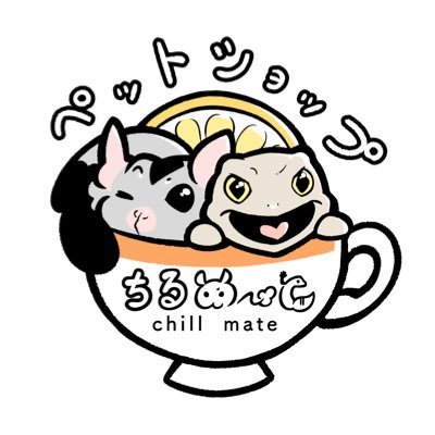 chill_mate111's profile picture. 三重県のエキゾチックアニマル専門店です✋️

爬虫類、哺乳類、鳥類を中心に生体や餌の販売を行います。