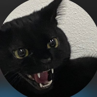 @frizifn