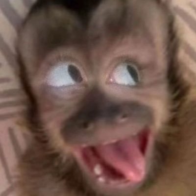 yesaasjeiej's profile picture. 