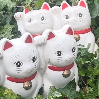 con_conhaitou's profile picture. 無言フォロー失礼します。高配当株で旅行✈️♨️に行くのが趣味です。天安門事件