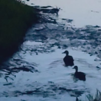 MISSILEMISSILE's profile picture. a.k.a 笑顔・健康