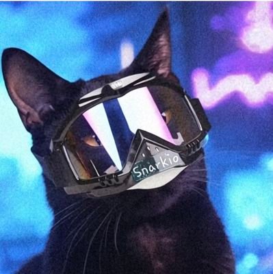 Snarkio_'s profile picture. Stuck in a city owned by Oklahoma’s most progressive oligarch, whose topdog has cemented himself on the city council for 14 years. There's more---much more.