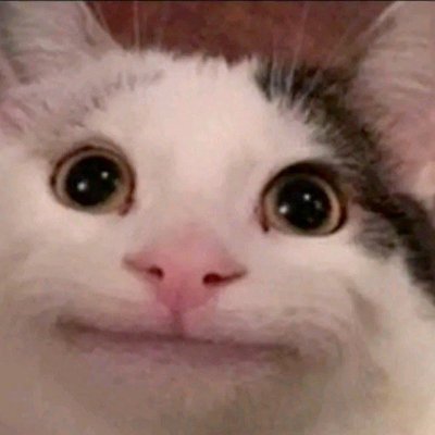 big_tech_sux's profile picture. @vyperlang;
yoga nerd;
