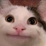 big_tech_sux's profile picture. @vyperlang;
yoga nerd;