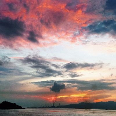 fioculun's profile picture. 