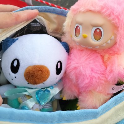 ミジュ悠希(∵◔只◔∵)さんのプロフィール画像