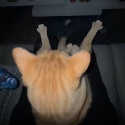 Stopa_'s profile picture. TikTok: 300k & 40k / YouTube: 50k