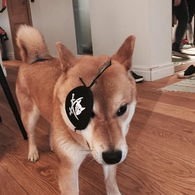 alxanderagung's profile picture. Bitcoin boy  💊trader altcoin💰