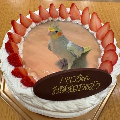 紅芋さんのプロフィール画像