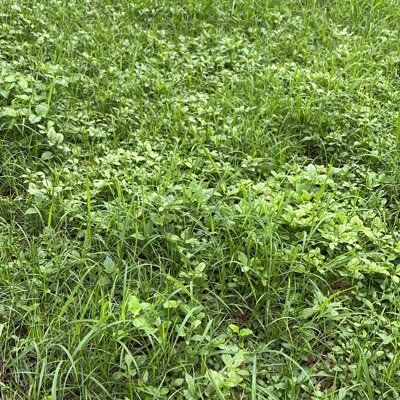 Jorden065's profile picture. Wholesome dad most of the time