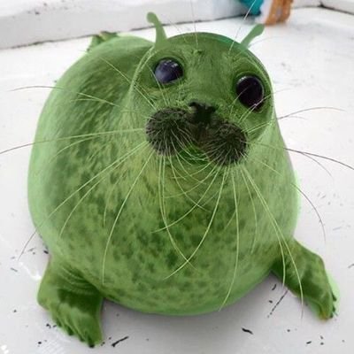 babooさんのプロフィール画像