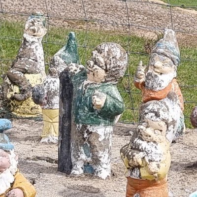 TassieLife's profile picture. We're a bit different in Tasmania - but we're not stupid. Pity about some of our leaders. #politas