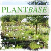 Plantbase (@plantbaseuk) 's Twitter Profile