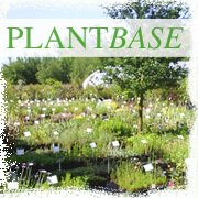 Plantbase(@Plantbaseuk) 's Twitter Profile Photo