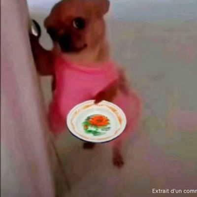 yleyyy's profile picture. La paix