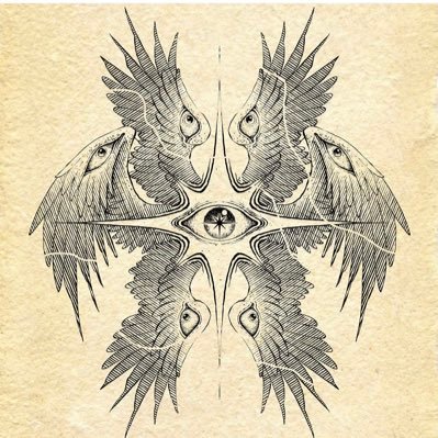 0334jhonrojas2's profile picture. 