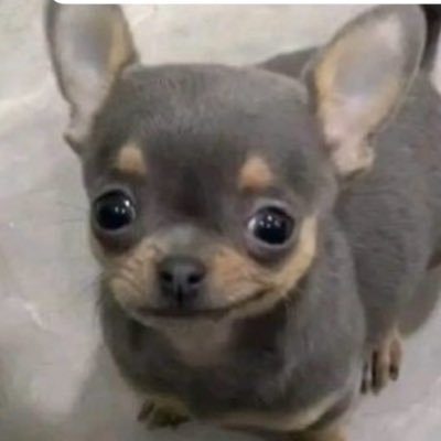 ts12honey's profile picture. 