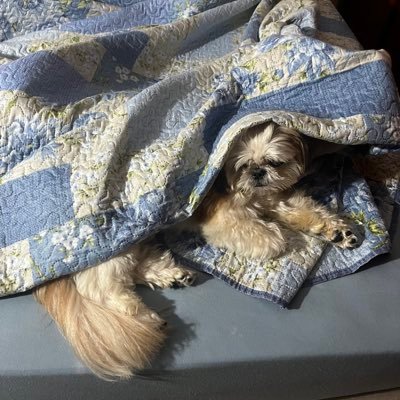 anaclaracostar's profile picture. 