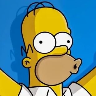 curiousyorgi's profile picture. 