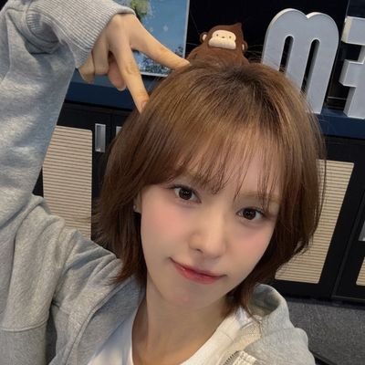 tinywenrene's profile picture. what's the point of living if you're not wendy and irene?