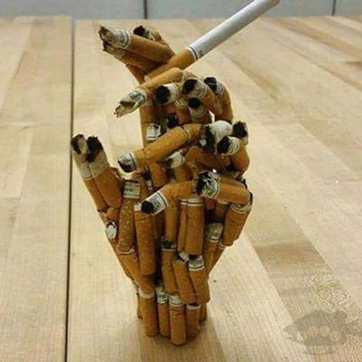 minruu93's profile picture. 25⬆️ dcst 地雷なし 見る専