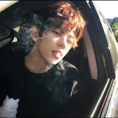 onlynvlm's profile picture. 