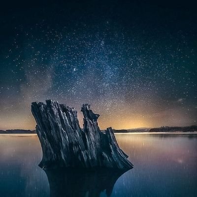MdSaikat98998's profile picture. 