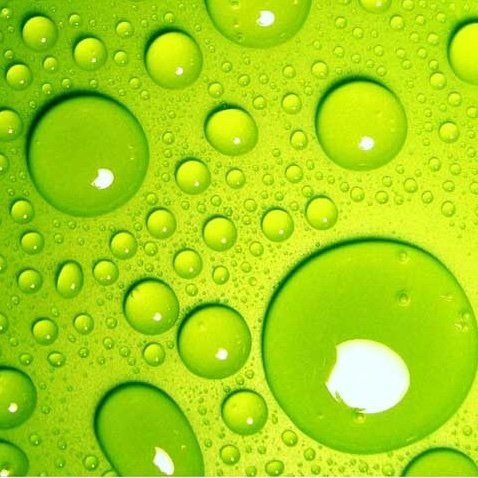 MasanoriTag's profile picture. 