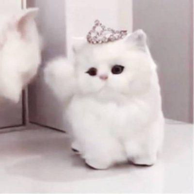 s_wagpte_dsu's profile picture. 埼玉県/19