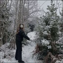 feldinger420294's profile picture. 