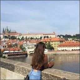 tomasekhal38175's profile picture. 