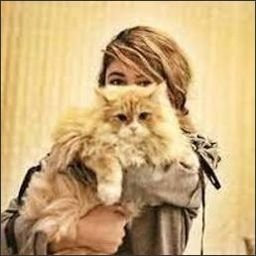 liceriodar88978's profile picture. 