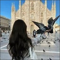 preatorred76292's profile picture. 