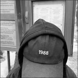 niomiwarne58313's profile picture. 