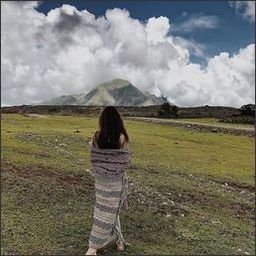 ulanowicz440544's profile picture. 