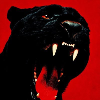 zetapng's profile picture. 