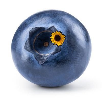 blueinlucy's profile picture. 어떻게 하루하루를 잘 뒤적거리면 행복은 항상 곁에 있었다 :)