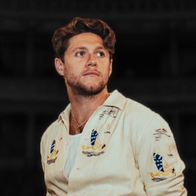 lovers_quadrant's profile picture. making a comeback to stan twitter. ot5, but mainly Niall.