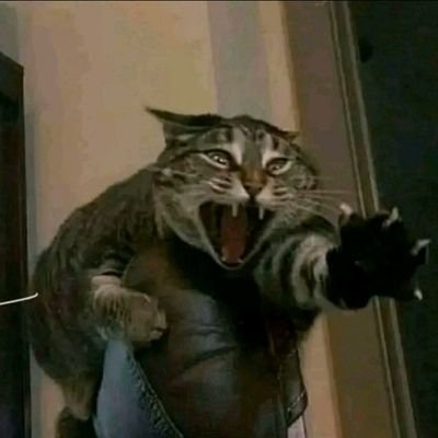 Jaojab220456's profile picture. 